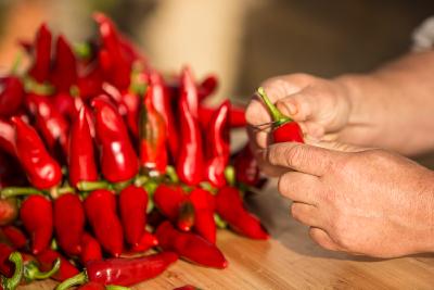 Corde sèche de Piments d'Espelette AOP